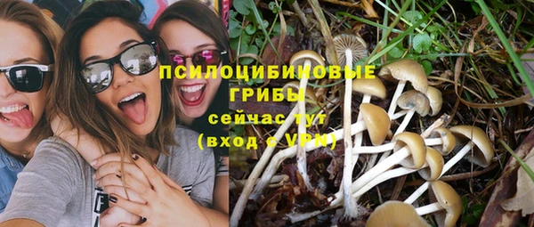 дживик Баксан