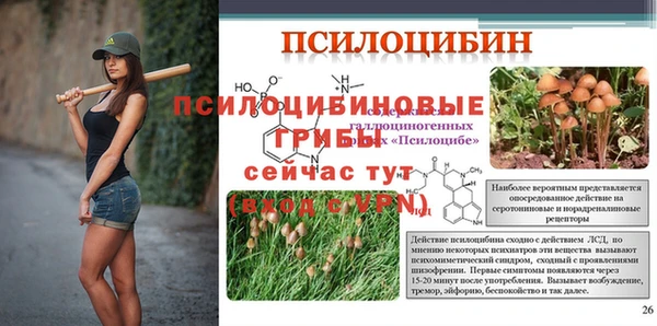стафф Алексеевка