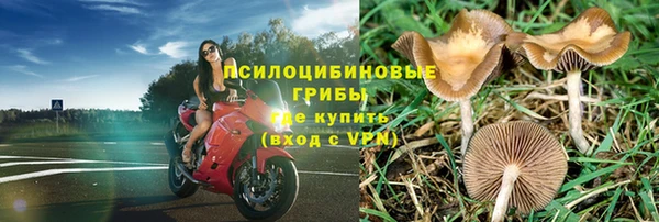 марки nbome Алзамай