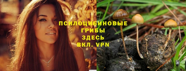 не бодяженный Алексин
