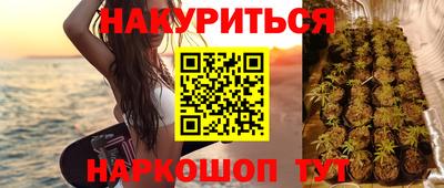 скорость Бийск