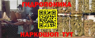 твердый Берёзовский