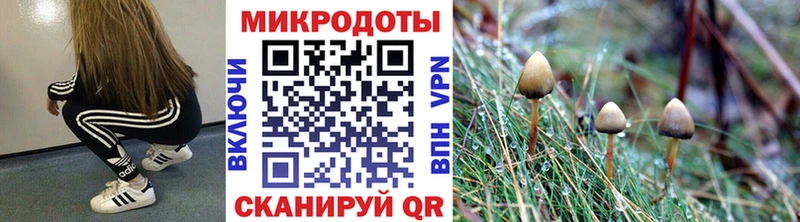 hydra онион  Гуково  Псилоцибиновые грибы MAGIC MUSHROOMS 