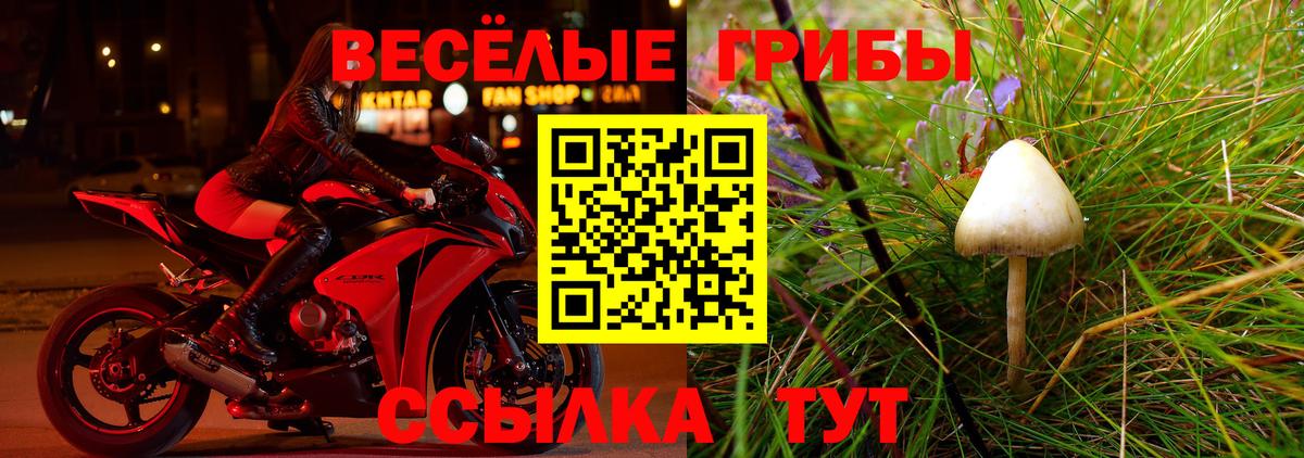 Галлюциногенные грибы мухоморы  Гуково  Псилоцибиновые грибы Psilocybine cubensis 