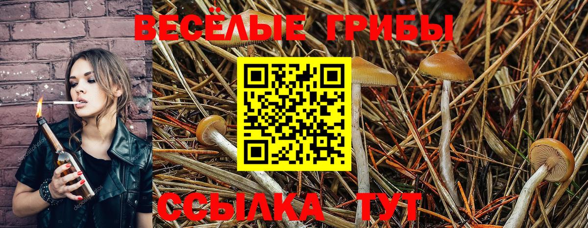 Псилоцибиновые грибы MAGIC MUSHROOMS Гуково