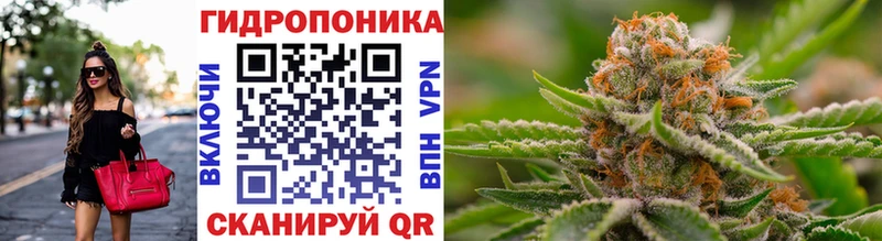 Канабис гибрид  магазин продажи   Гуково 